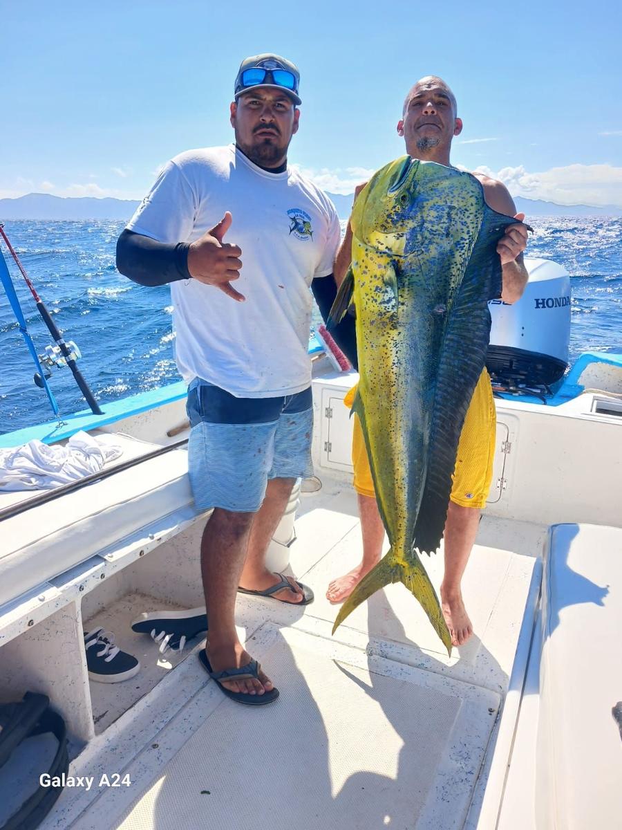 Crew and guests with dorado caught with Baja Mosquito Fleet in La Paz, Mexico