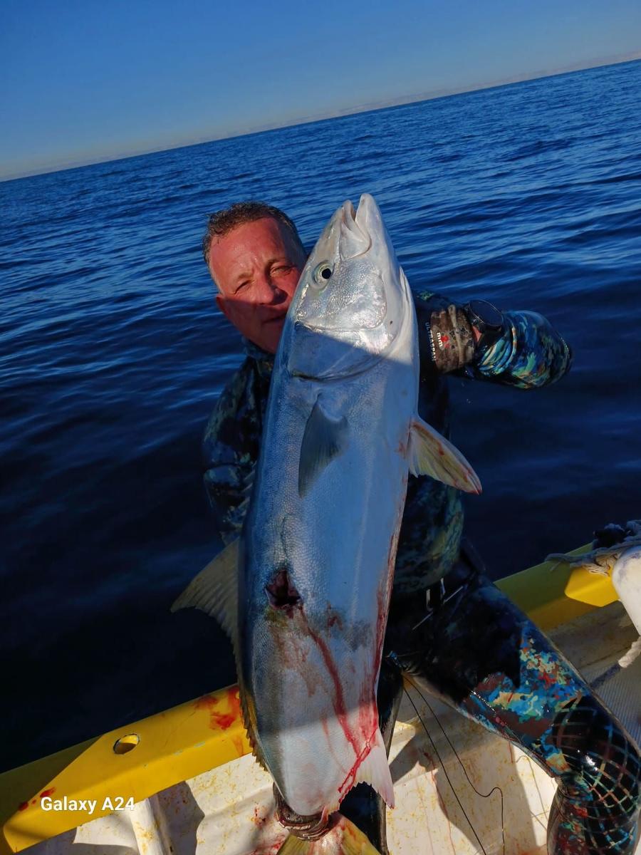 Spearfished amberjack caught with Baja Mosquito Fleet in La Paz, Mexico