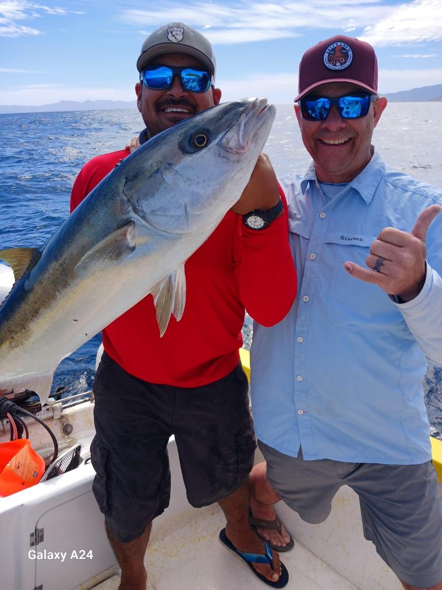 Two amberjack caught with Baja Mosquito Fleet in La Paz, Mexico