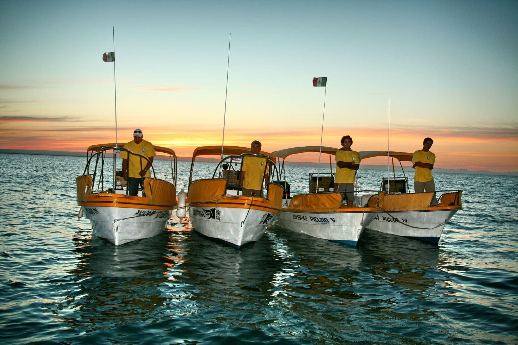 Fleet lineup at sunset — Baja Mosquito Fleet, La Paz