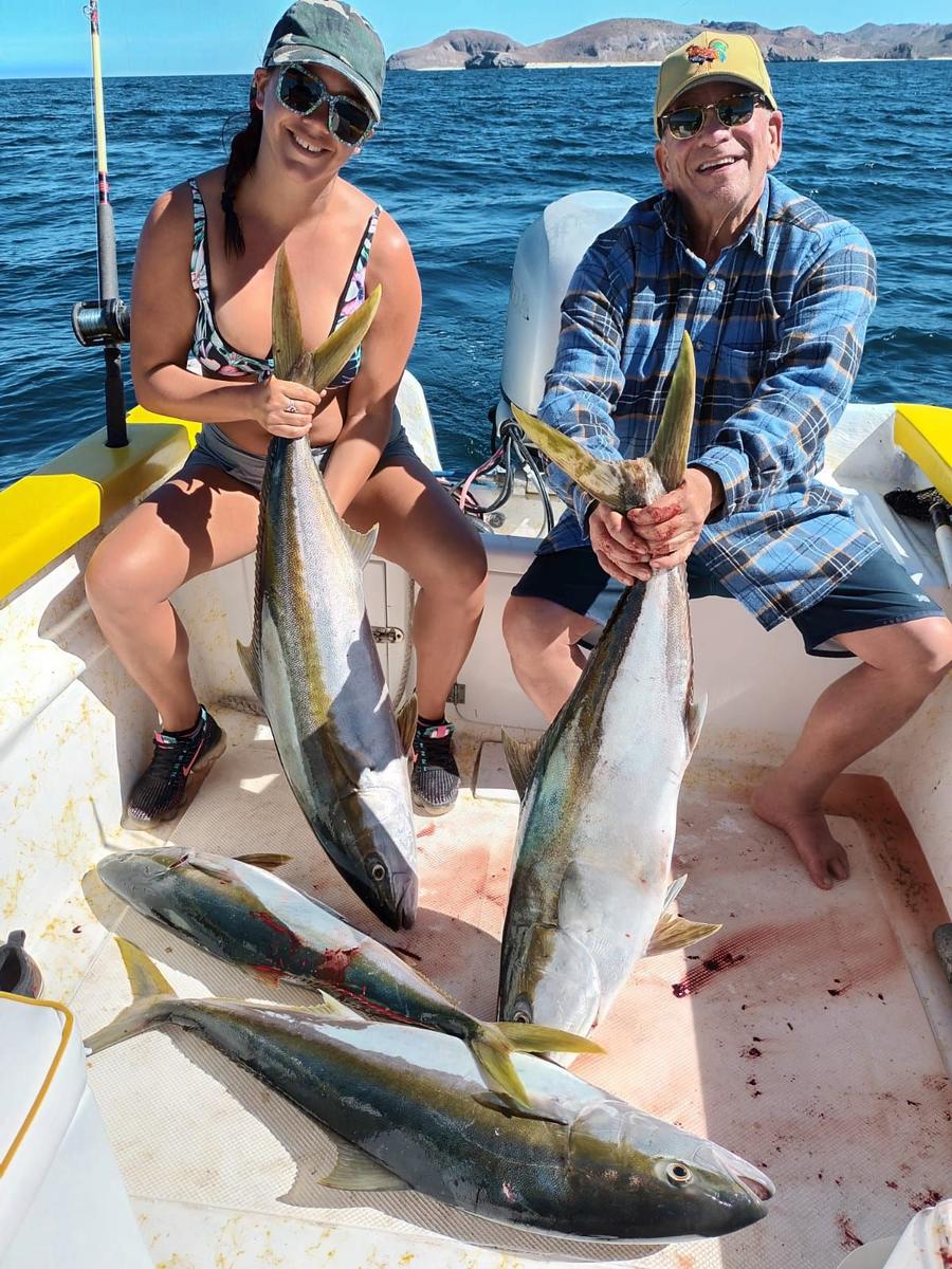 Yellowtail caught with Baja Mosquito Fleet in La Paz