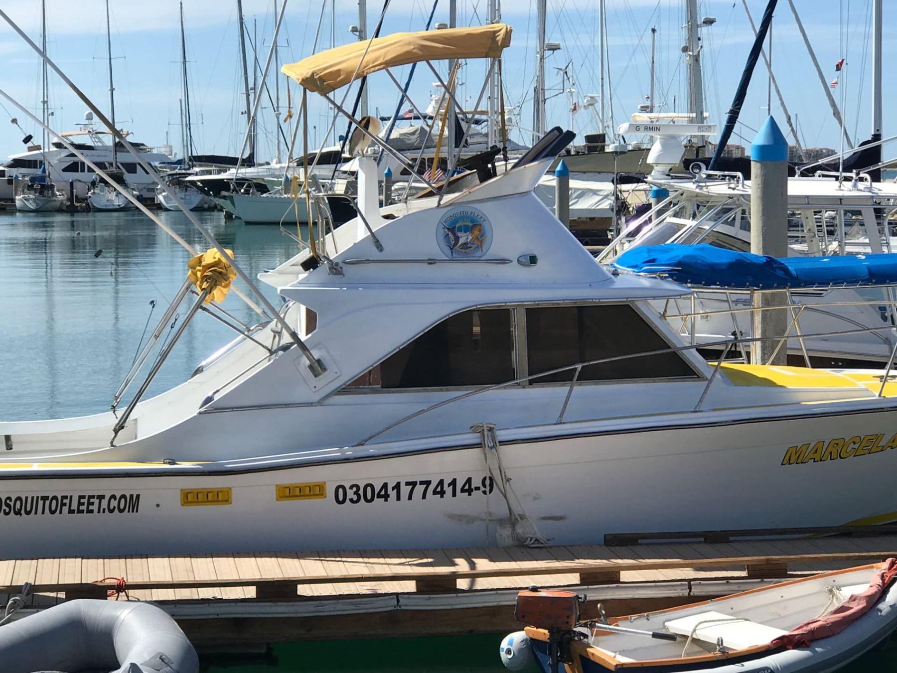 Baja Mosquito Fleet boats at the dock in La Paz, Mexico