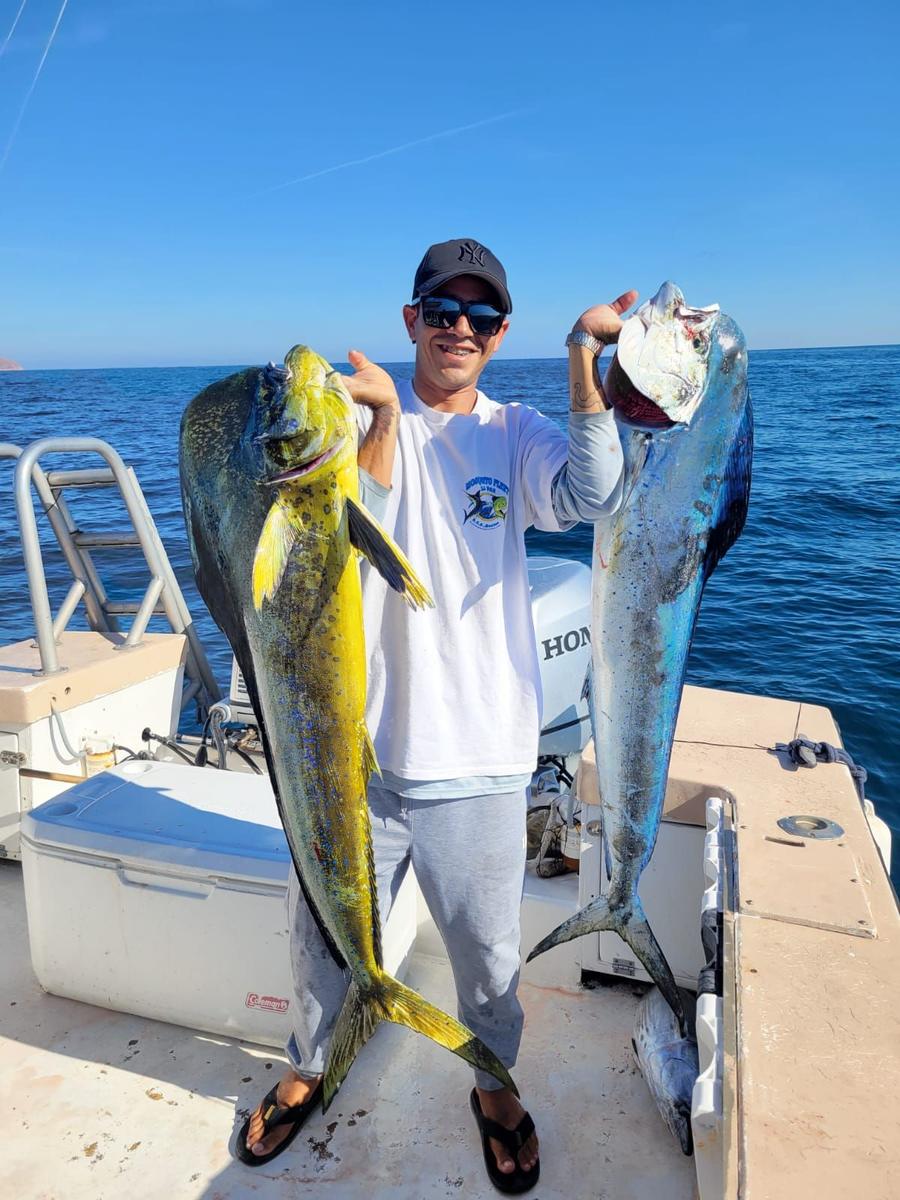 Pair of dorado caught with Baja Mosquito Fleet in La Paz, Mexico