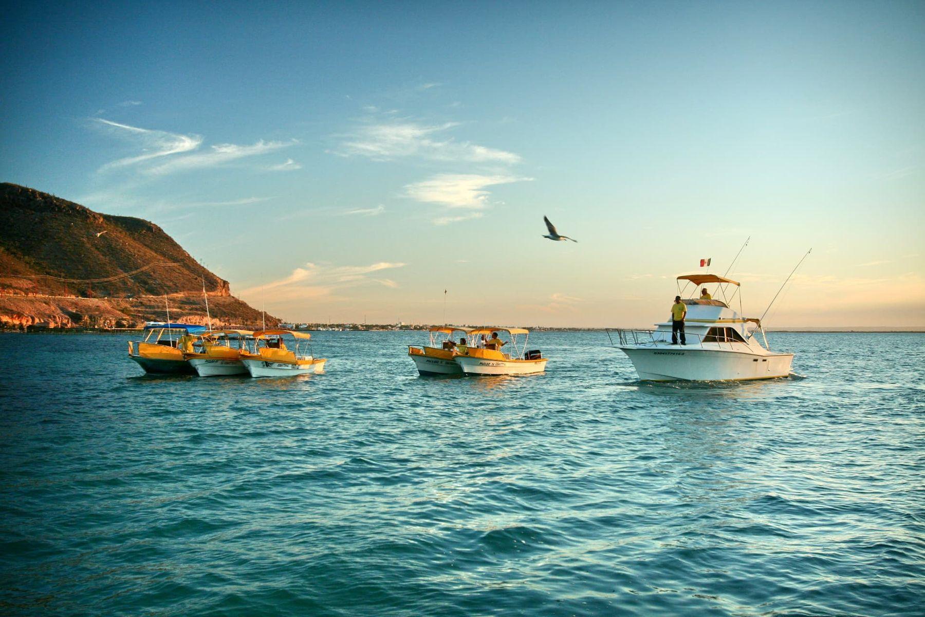Baja Mosquito Fleet boats at golden hour in La Paz