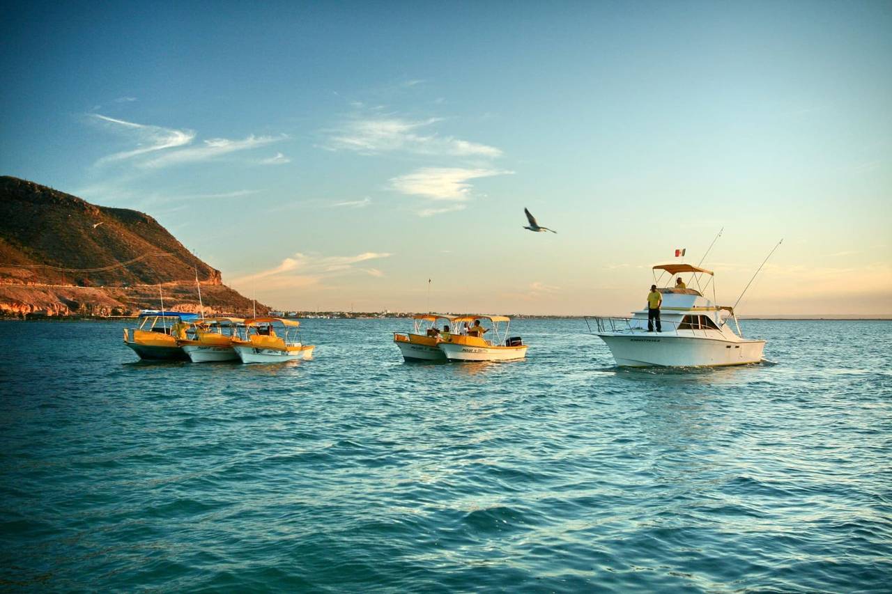 Baja Mosquito Fleet boats at golden hour in La Paz