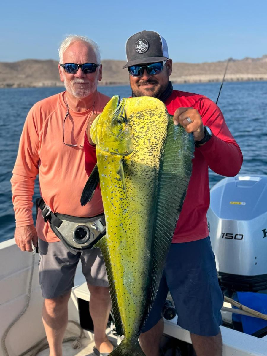Trophy bull dorado caught with Baja Mosquito Fleet in La Paz, Mexico