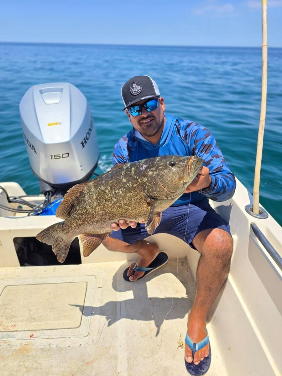 Grouper & Cabrilla fishing photo, La Paz Mexico