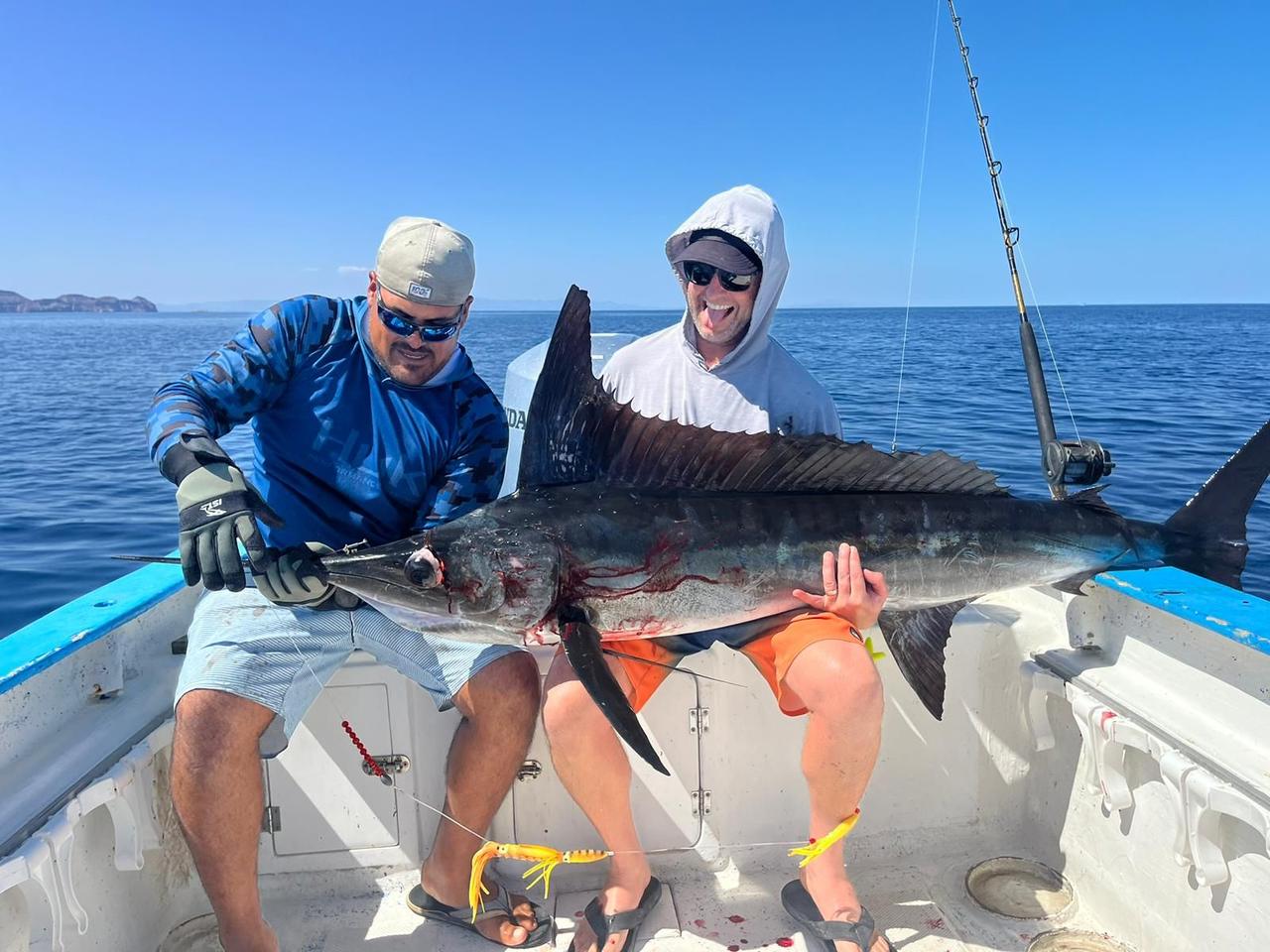 Striped Marlin fishing in La Paz