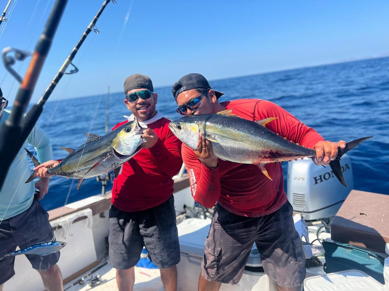 Yellowfin Tuna fishing in La Paz