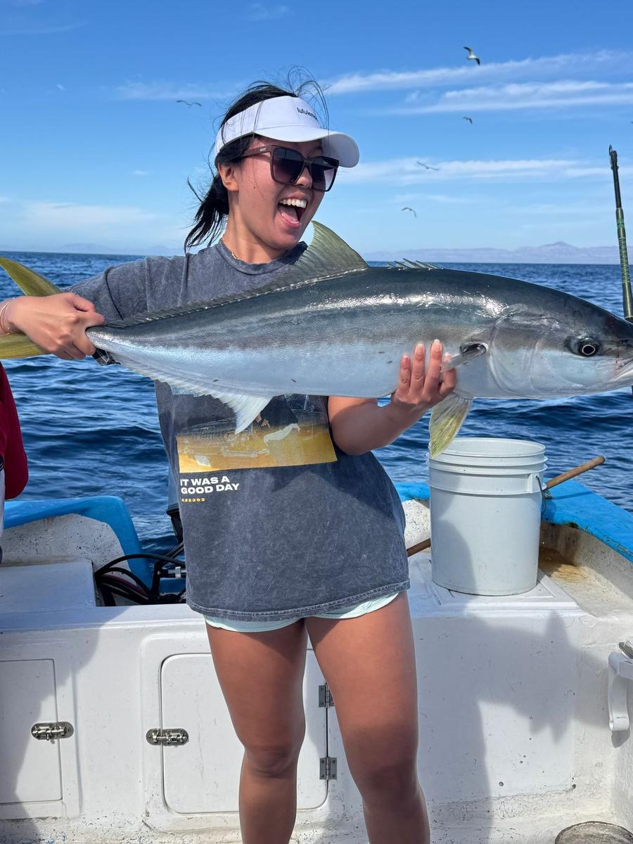 Angler with yellowtail caught with Baja Mosquito Fleet in La Paz, Mexico