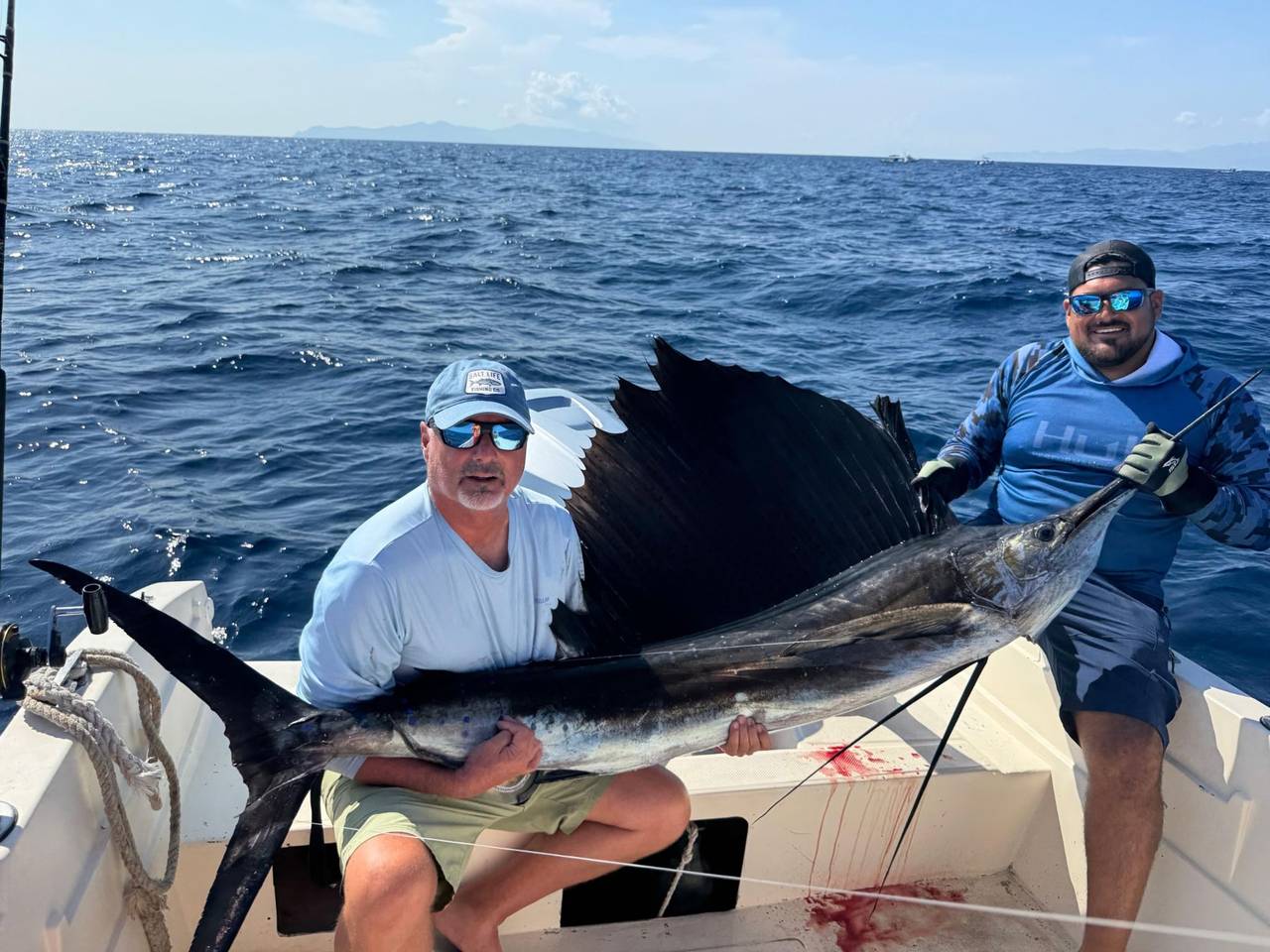 Sailfish held before release in La Paz