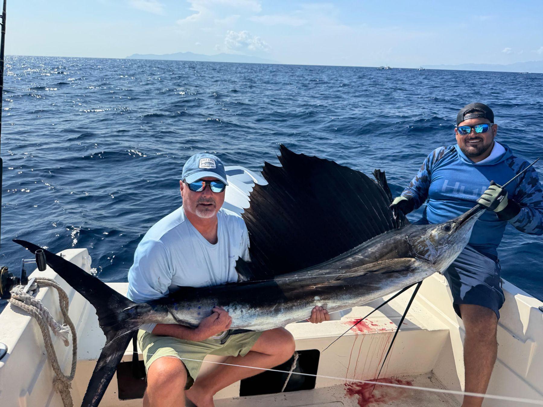 Sailfish released caught with Baja Mosquito Fleet in La Paz, Mexico