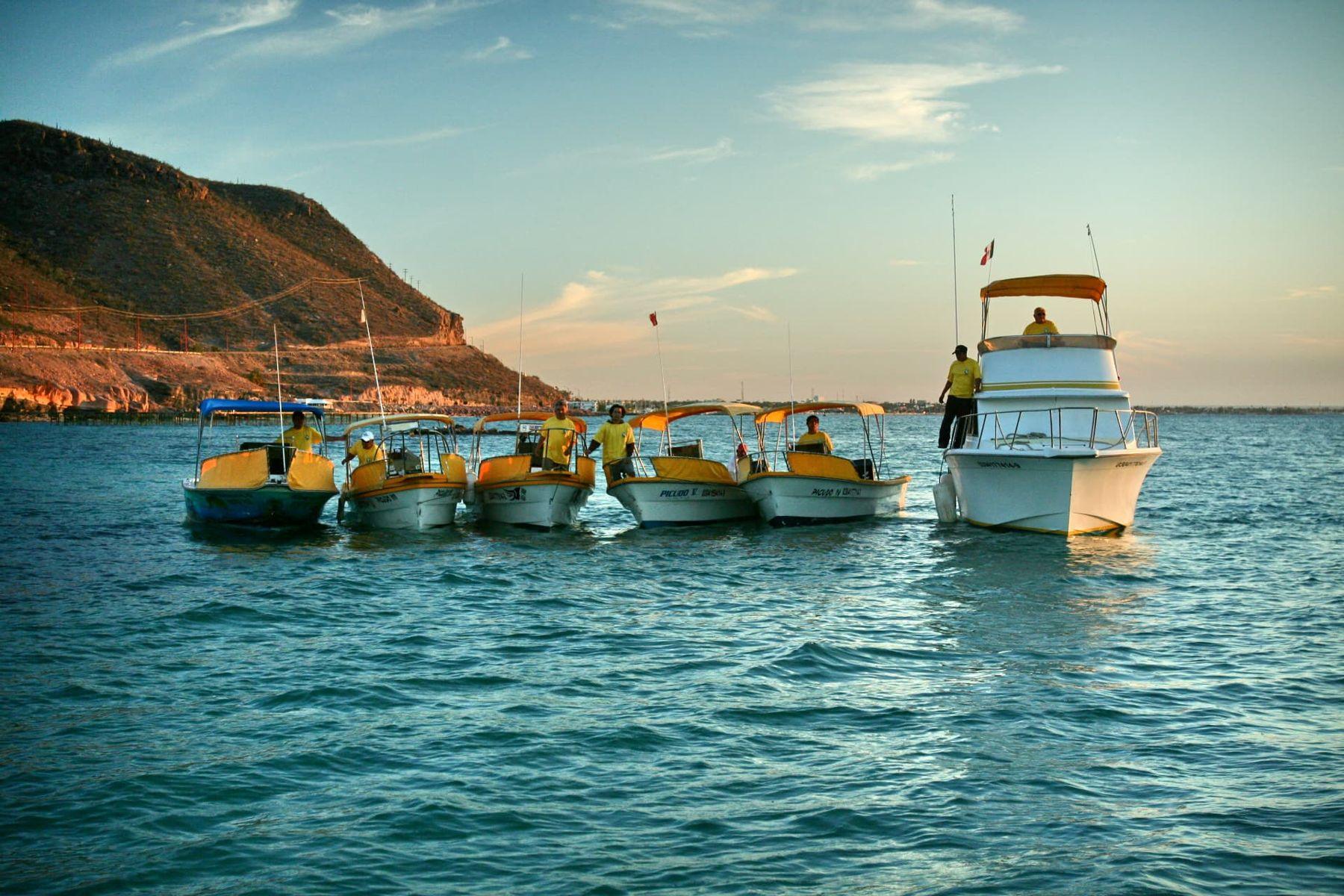 Boats anchored at golden hour — Baja Mosquito Fleet, La Paz