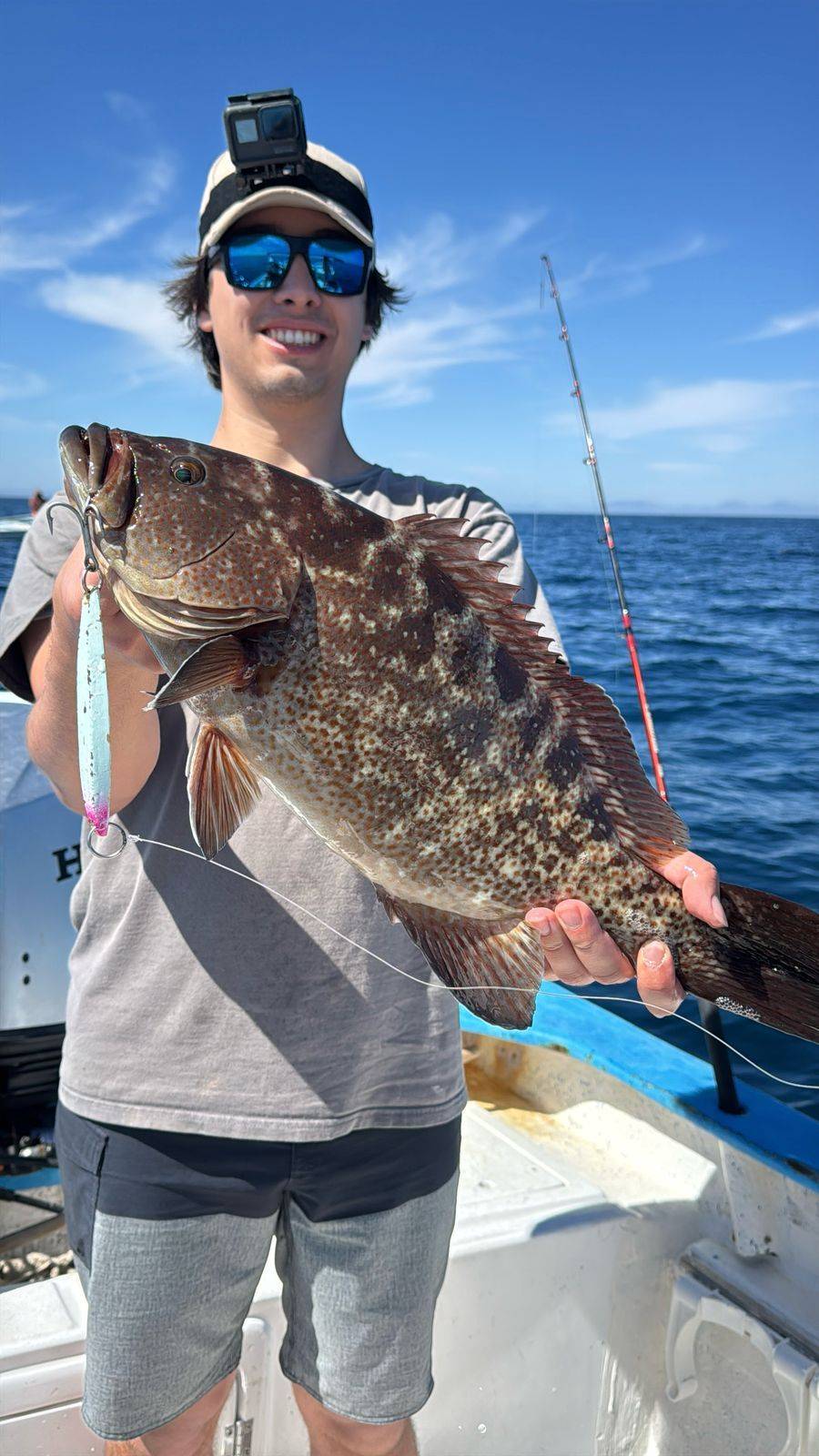 Grouper & Cabrilla (Mycteroperca spp.) caught fishing in La Paz, Baja California Sur