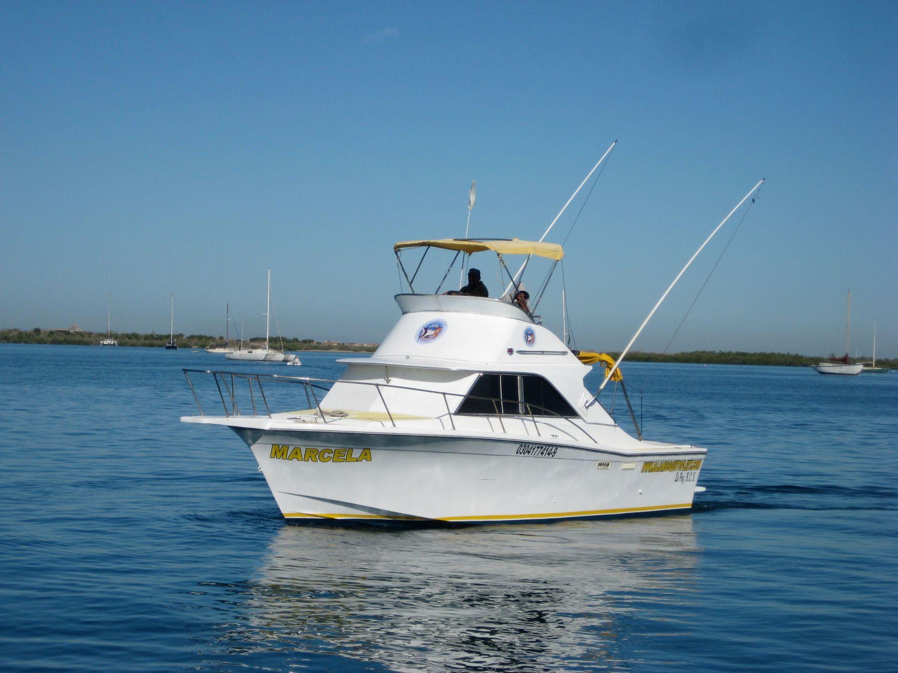 Marcela bow on — Baja Mosquito Fleet, La Paz