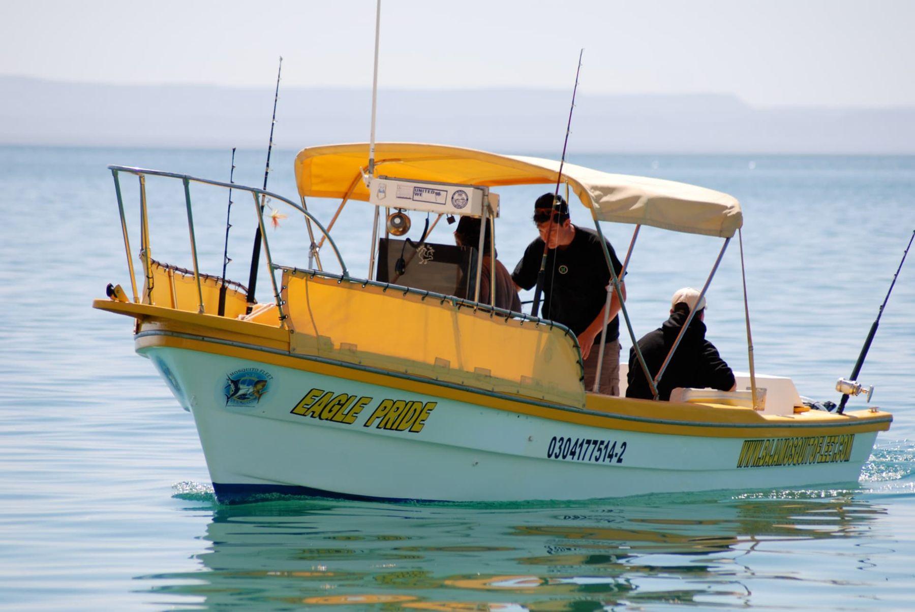 Eagle Pride, 22 ft super panga — Baja Mosquito Fleet, La Paz